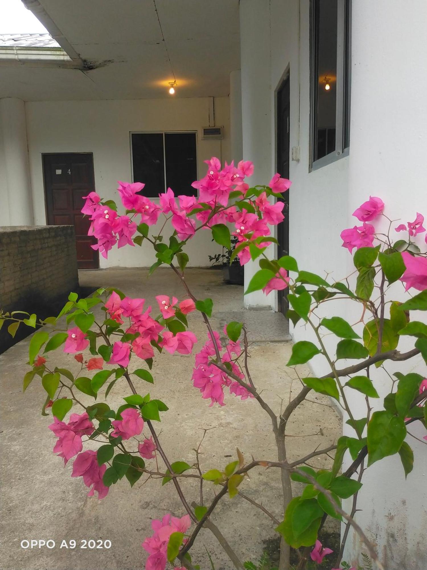 Sukau Tomanggong View Bed & Breakfast ภายนอก รูปภาพ