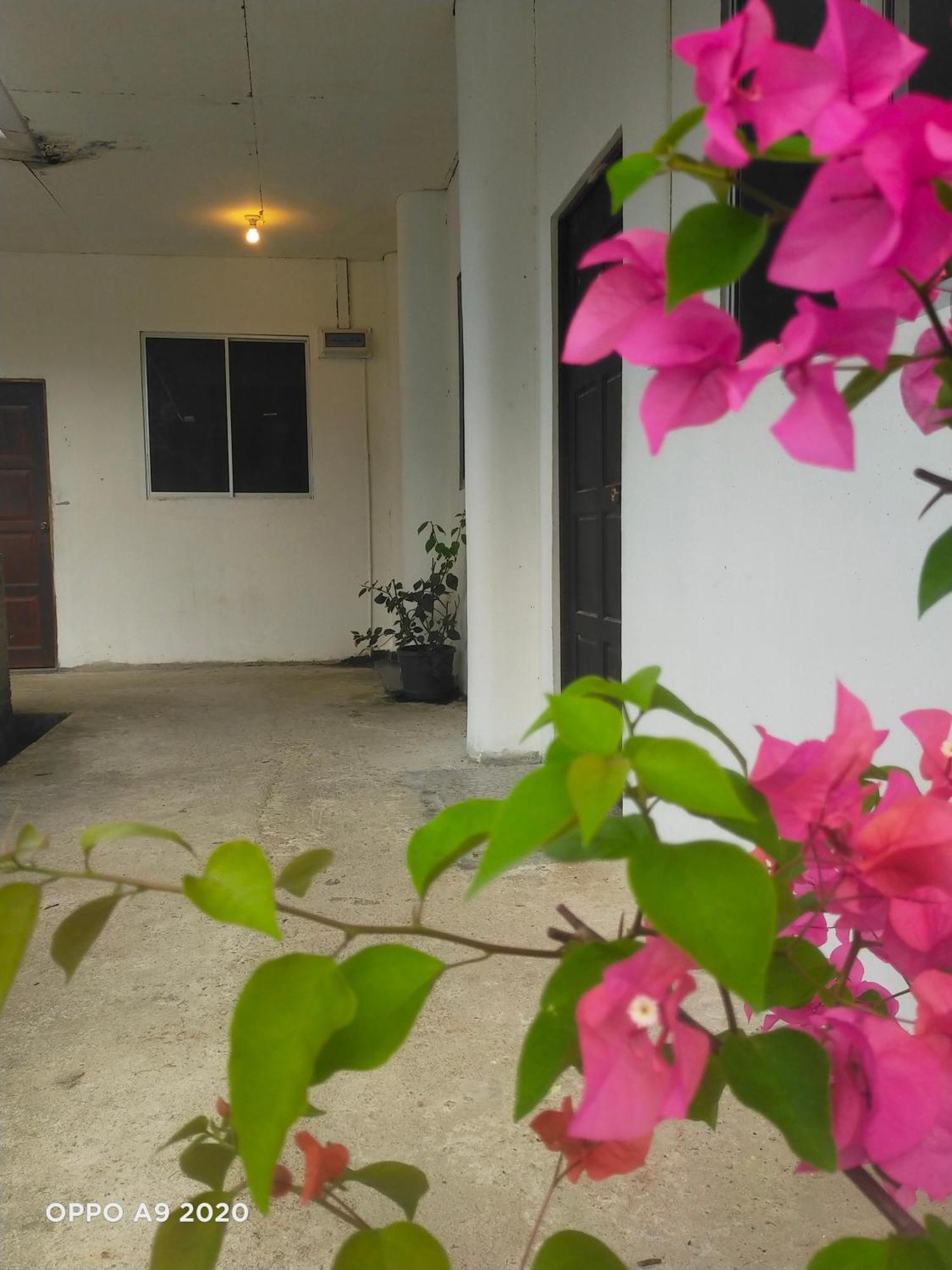 Sukau Tomanggong View Bed & Breakfast ภายนอก รูปภาพ