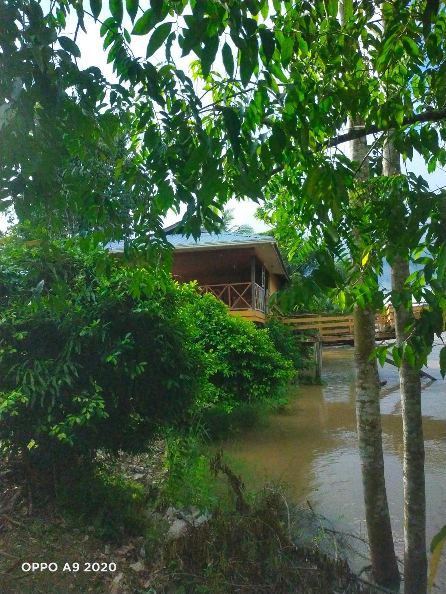 Sukau Tomanggong View Bed & Breakfast ภายนอก รูปภาพ
